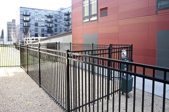 Dog run